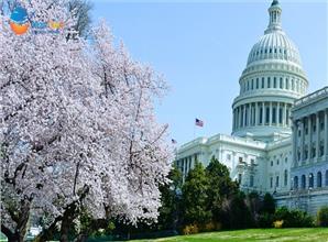 Hành Trình 12N11Đ Đông Tây Hoa Kỳ Mùa Hoa Anh Đào 2026